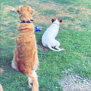 Meet your Posher, Paige